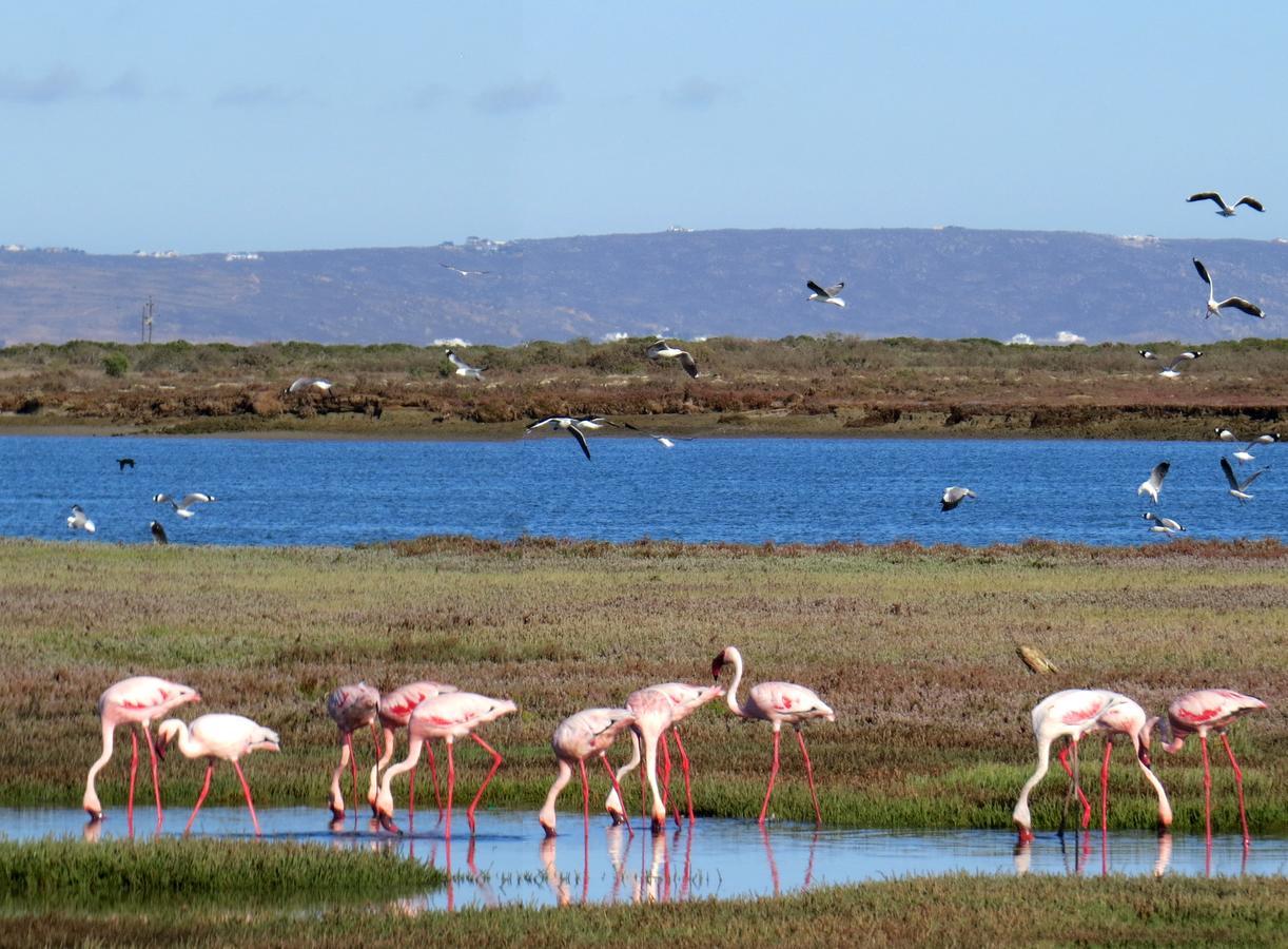 ホテルFlaminkevlei Waterfront フェルドドリフ エクステリア 写真